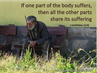 1 Corinthians 12:26 If One Part Of The Body Suffers The Other Parts Share The Suffering (windows)12:10